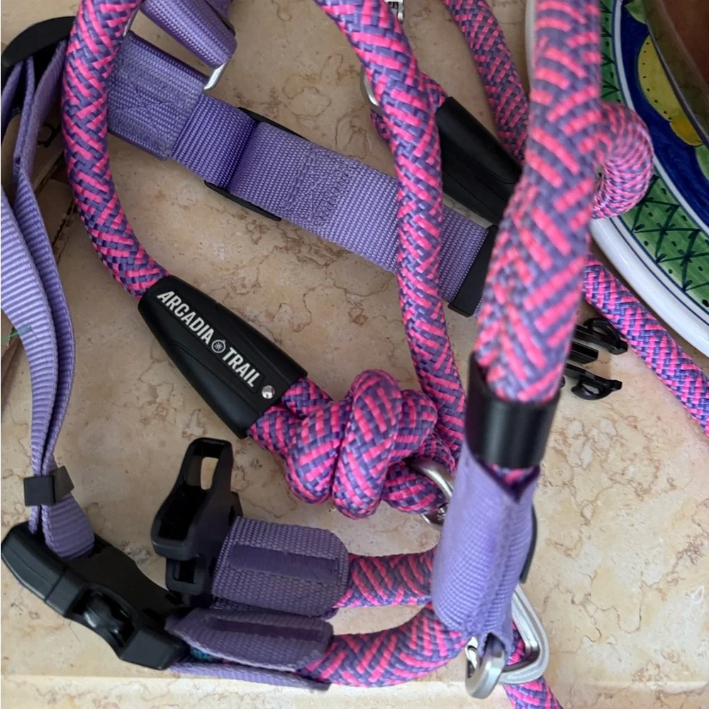 Arcadia Trail rope dog harness and leash in pink and purple
